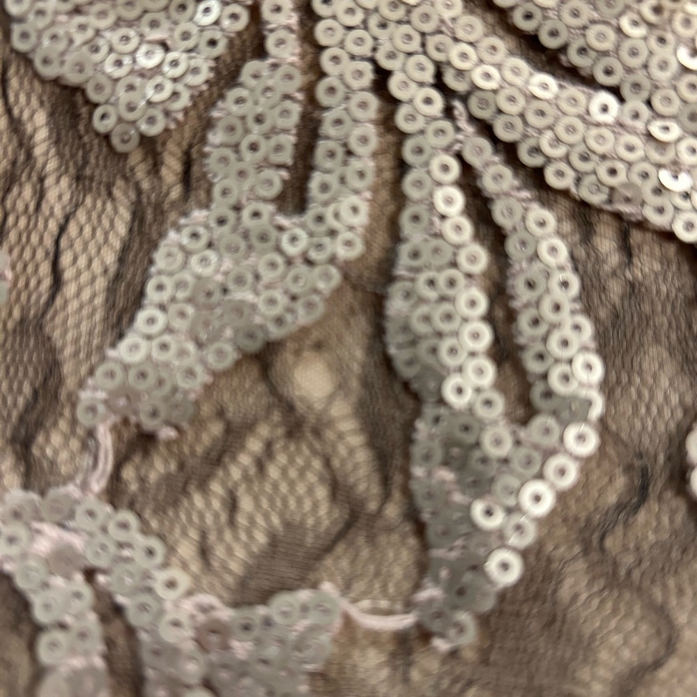 Stunning Adrianna Papell evening gown size 4. - Picture 8 of 8